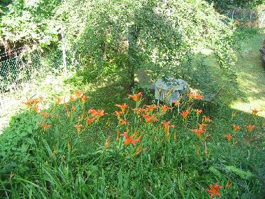Ferienhaus in Le�nyfalu (Pest) oder Ferienwohnung oder Ferienhaus