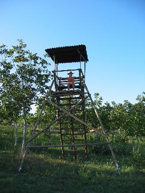 Ferienwohnung in Todi (Perugia) oder Ferienwohnung oder Ferienhaus