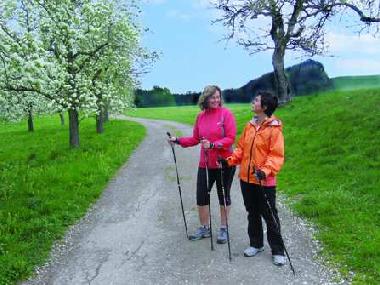 Ferienwohnung in Katzheim 2 (Bodensee) oder Ferienwohnung oder Ferienhaus