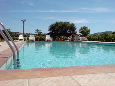 Pool 14 x 7 mit �berschttetem Platz, Sonnenliegen, Luftbabypool