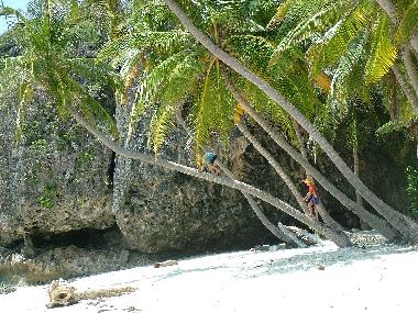 Chalet in las galeras (Samana) oder Ferienwohnung oder Ferienhaus
