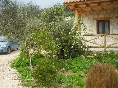 Ferienhaus in VASILIKOS (Zakynthos) oder Ferienwohnung oder Ferienhaus