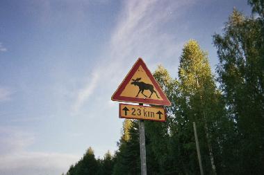 Ferienhaus in Auttoinen (Padasjoki) (Etela-Suomen Laani) oder Ferienwohnung oder Ferienhaus