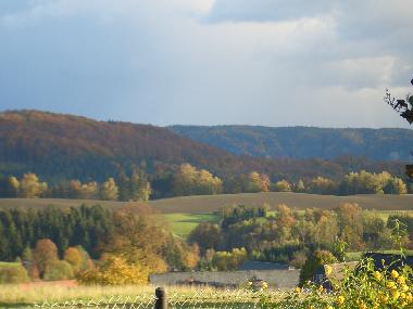 Blick ber den Gartenzaun