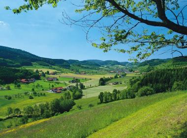 Chalet in Steinach (Schwarzwald) oder Ferienwohnung oder Ferienhaus