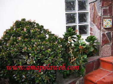 Ferienwohnung in maiori (Salerno) oder Ferienwohnung oder Ferienhaus