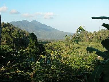 Ausblick von der Terasse