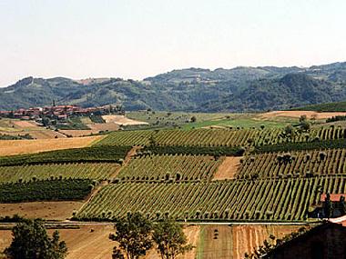 Ferienhaus in Carezzano (Alessandria) oder Ferienwohnung oder Ferienhaus