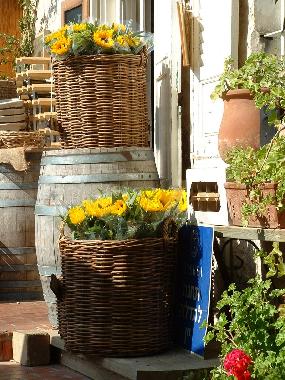 Ferienhaus in Zichron Ya'akov (HaZafon (Northern)) oder Ferienwohnung oder Ferienhaus