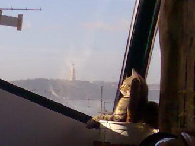 Ferienwohnung in Lisboa (Grande Lisboa) oder Ferienwohnung oder Ferienhaus