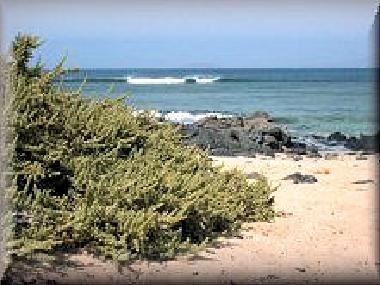 Ferienhaus in Corralejo (Fuerteventura) oder Ferienwohnung oder Ferienhaus