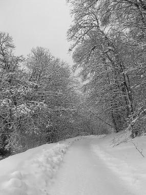 Ferienhaus in Affieux (Corrze) oder Ferienwohnung oder Ferienhaus
