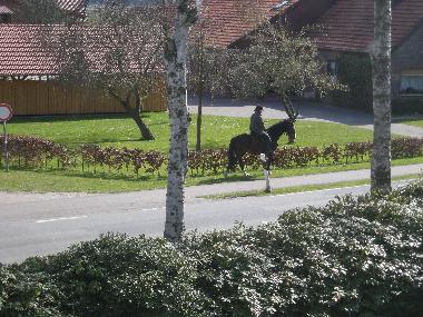 Blick aus dem Wohnzimmer