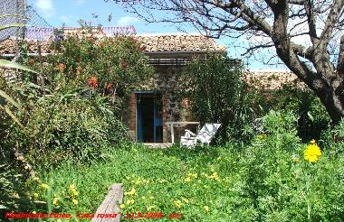 Garten mit Terrasse unten dem Aprikosenbaum