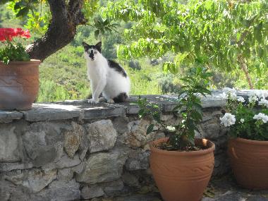 Unser Inselfreund Luigi