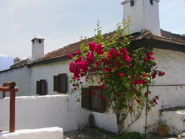 Ferienhaus in Kayakoy (Mugla) oder Ferienwohnung oder Ferienhaus