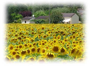 Ferienhaus in Montcuq (Lot) oder Ferienwohnung oder Ferienhaus