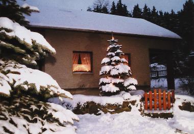 alle Jahre wieder . . .  zur Weihnachtszeit