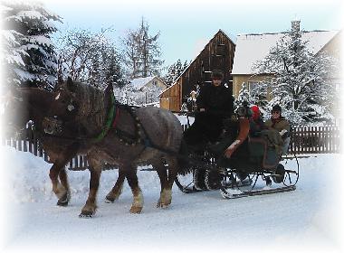 eine Fahrt mit einem Pferdeschlitten durch den Winterwald