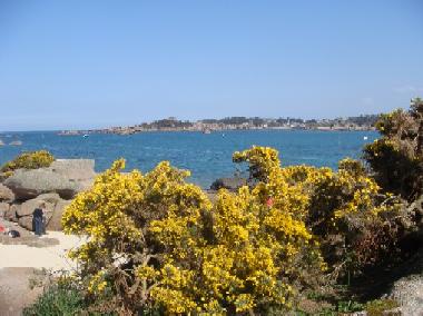 Ferienwohnung in Trevou-Treguignec (C�tes-d