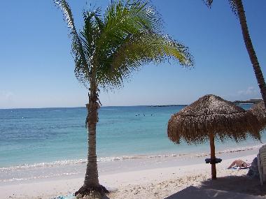 Ferienwohnung in Puerto Aventuras (Quintana Roo) oder Ferienwohnung oder Ferienhaus