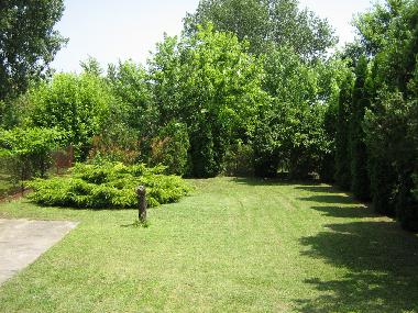 Ferienhaus in Kiskunmajsa (Bacs-Kiskun) oder Ferienwohnung oder Ferienhaus
