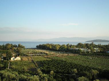 Ferienwohnung in Nafplio (Argolida) oder Ferienwohnung oder Ferienhaus