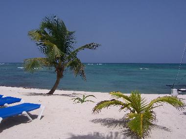 Ferienwohnung in Akumal, Quintana Roo (Quintana Roo) oder Ferienwohnung oder Ferienhaus