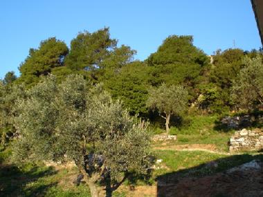 Ferienwohnung in Alikias (Magnisia) oder Ferienwohnung oder Ferienhaus