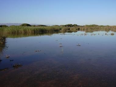 Ferienwohnung in Roquetas de Mar (Almera) oder Ferienwohnung oder Ferienhaus