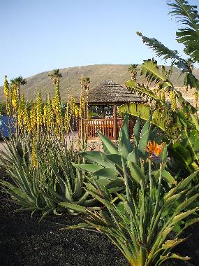 Ferienhaus in Arrieta (Lanzarote) oder Ferienwohnung oder Ferienhaus