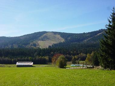 Ferienwohnung in Bischofsmais/Habischried (Niederbayern) oder Ferienwohnung oder Ferienhaus