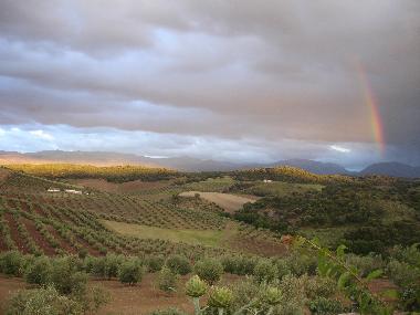 Ferienhaus in Villanueva de Tapia (Mlaga) oder Ferienwohnung oder Ferienhaus