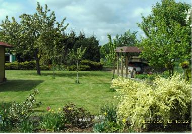 Unser Garten im Sommer