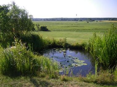 Teich im Garten mit Blick in die freie Landschaft