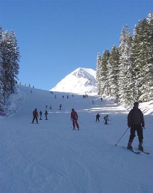 Pension in Bansko (Blagoevgrad) oder Ferienwohnung oder Ferienhaus