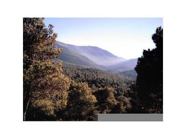 Pension in Caniles (Granada) oder Ferienwohnung oder Ferienhaus