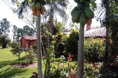 Pension in Paraguari (Paraguari) oder Ferienwohnung oder Ferienhaus