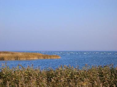 Unser Bodden - Natur pur
