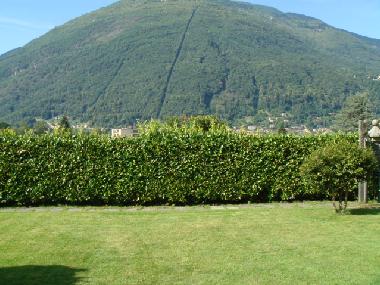 Liegewiese vor der Wohnung