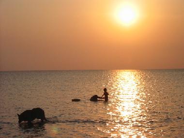 Ferienwohnung in Kerkennah (Safaqis) oder Ferienwohnung oder Ferienhaus