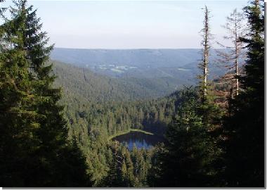 eiszeitlicher Karsee : Schurmsee