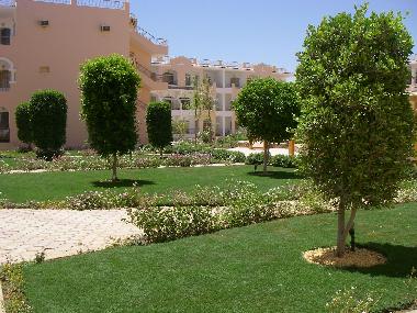 Ferienwohnung in sharm el sheikh (Shamal Sina