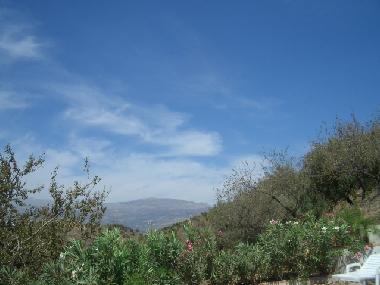 Ferienhaus in Velez Malaga (Mlaga) oder Ferienwohnung oder Ferienhaus