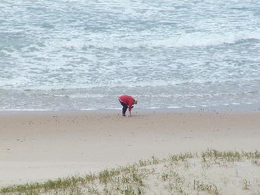 Pension in Vale da Telha / Arrifana (Algarve) oder Ferienwohnung oder Ferienhaus