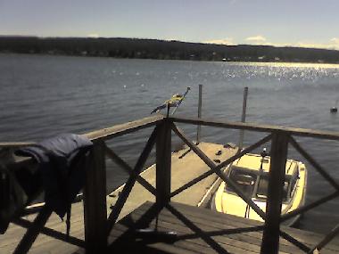 Ferienhaus in Njurunda (Medelpat) oder Ferienwohnung oder Ferienhaus