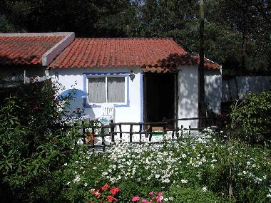 Chalet in Magoito (Grande Lisboa) oder Ferienwohnung oder Ferienhaus