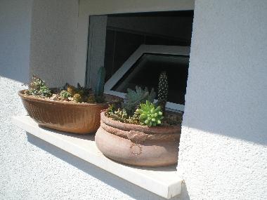 Ferienwohnung in Stari Grad,o Hvar (Splitsko-Dalmatinska) oder Ferienwohnung oder Ferienhaus