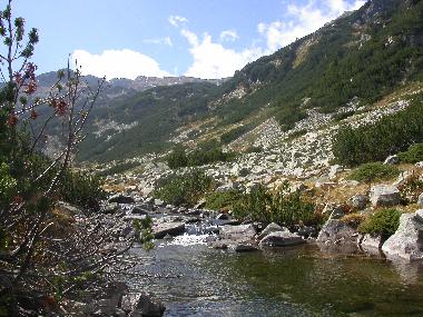 Ferienwohnung in Bansko (Blagoevgrad) oder Ferienwohnung oder Ferienhaus