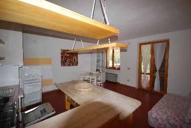 The living with the kitchen